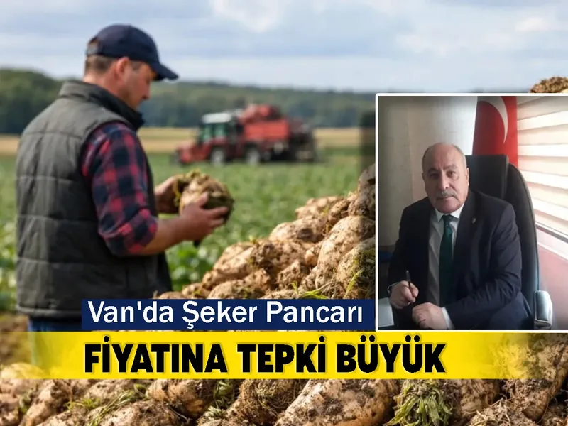 Van'da Şeker Pancarı Fiyatına Tepki Büyük