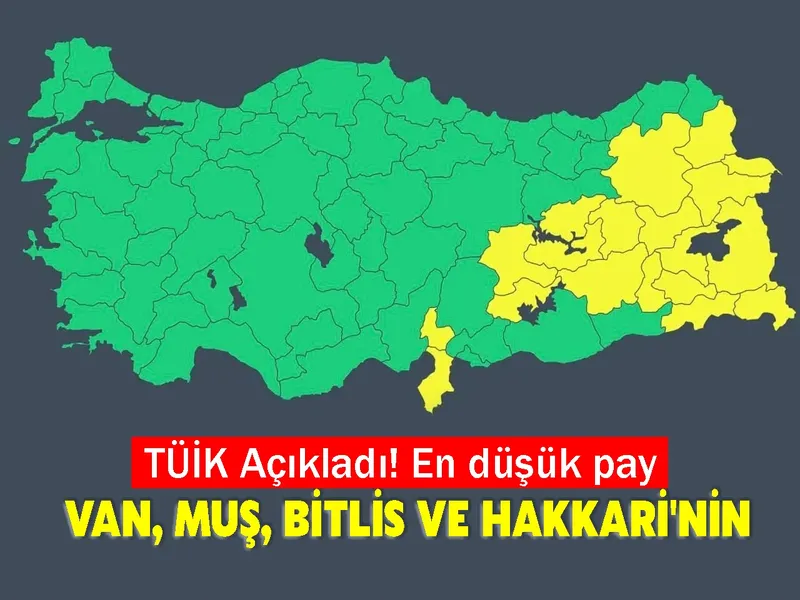 TÜİK Açıkladı! En düşük pay Van, Muş, Bitlis ve Hakkari'nin