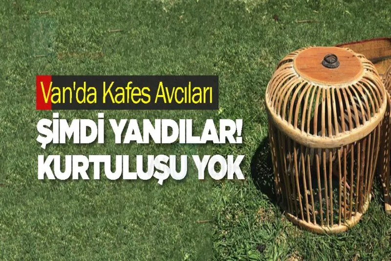 Van'da Kafes Avcıları Şimdi Yandılar! Kurtuluşu yok