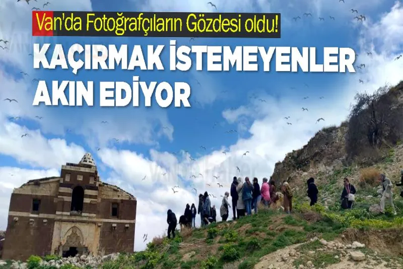Van'da Fotoğrafçıların Gözdesi oldu! Kaçırmak istemeyenler akın ediyor
