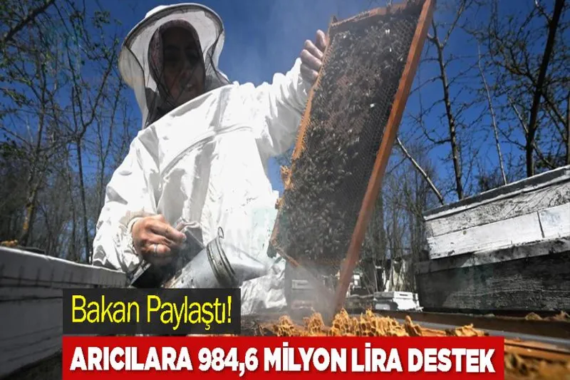Arıcılara 984,6 milyon lira destek