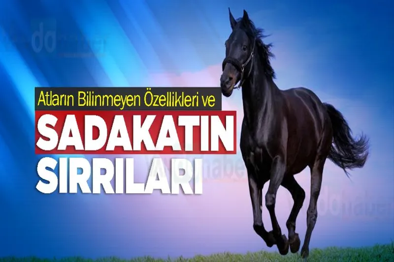 Atların Bilinmeyen Özellikleri ve Sadakatin Sırrıları