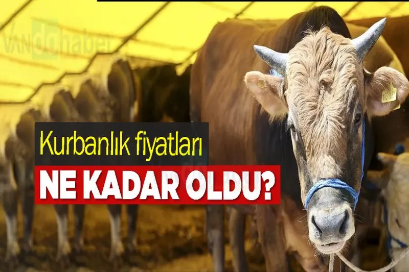 Kurbanlık fiyatları ne kadar oldu?