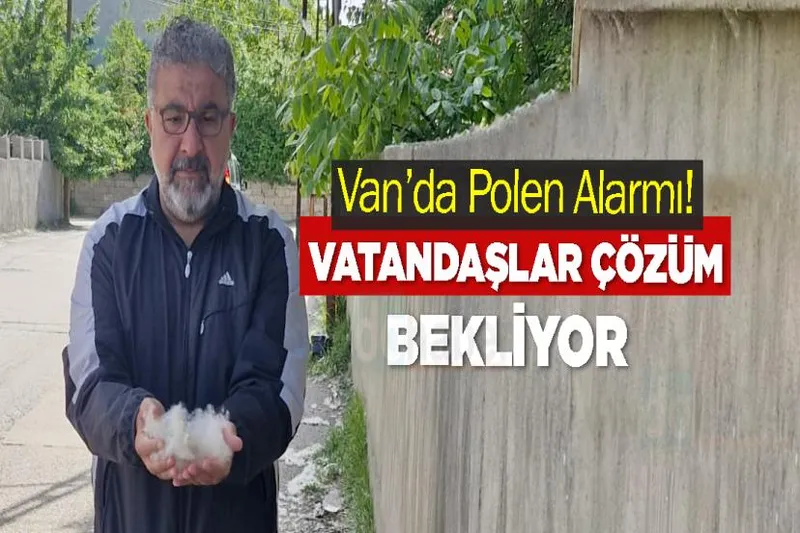 Van’da Polen Alarmı! Vatandaşlar Çözüm Bekliyor