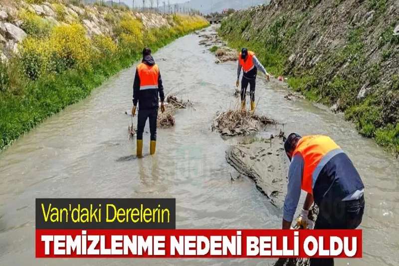 Van'daki Derelerin Temizlenme Nedeni Belli Oldu