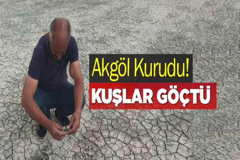 Akgöl Kurudu! Kuşlar Göçtü