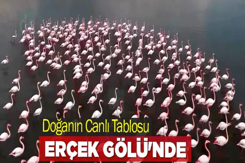 Doğanın Canlı Tablosu Erçek Gölü'nde