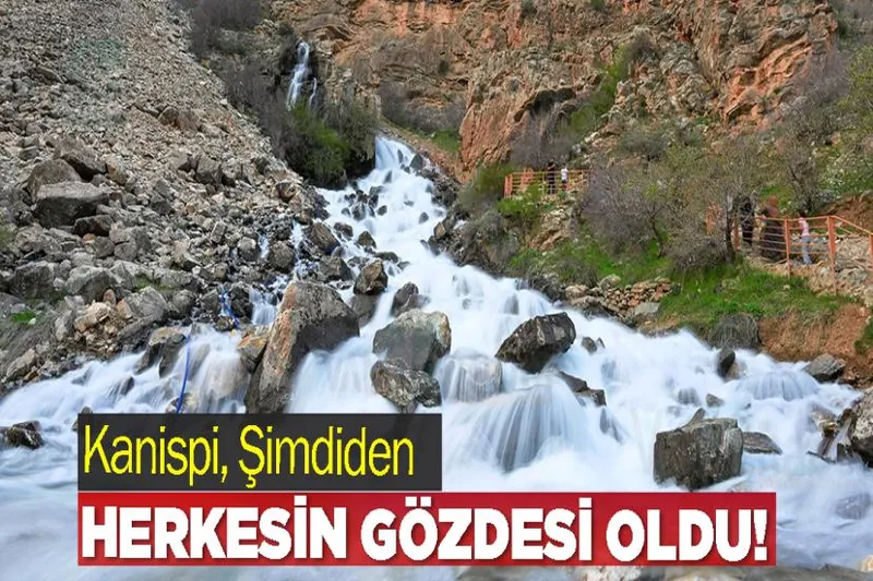 Kanispi, Şimdiden Herkesin Gözdesi Oldu!