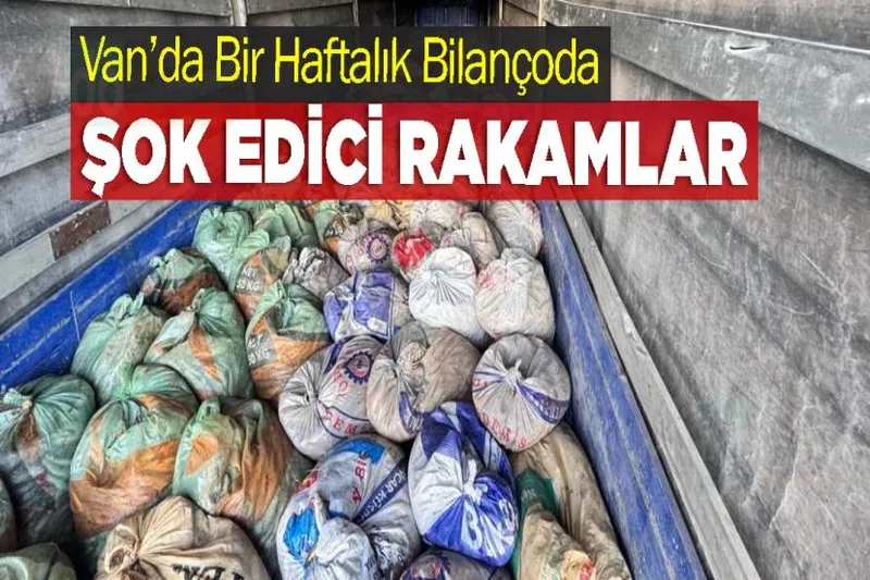 Van’da Bir Haftalık Bilançoda Şok Edici Rakamlar