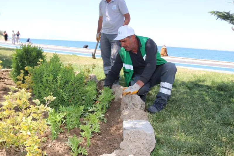 Edremit Belediyesi ürettiği çiçeklerle kenti yeşillendiriyor