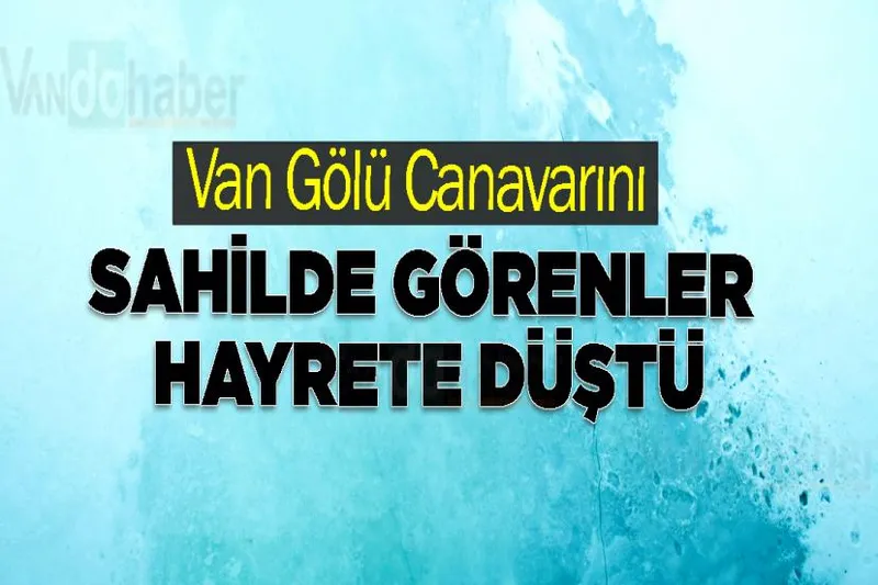 Van Gölü Canavarını sahilde görenler hayrete düştü