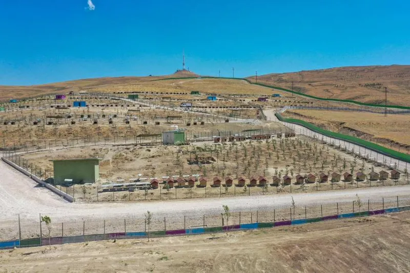 Doğal Yaşam Alanına 20 Bin Ağaç Dikti
