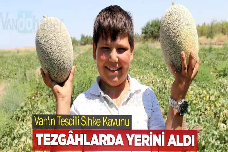 Van'ın Tescilli Sıhke Kavunu Tezgâhlarda Yerini Aldı