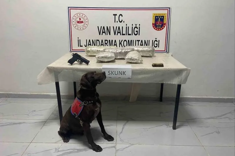 Van’da 4 kilo 311 gram skunk ve gümrük kaçağı malzeme ele geçirildi
