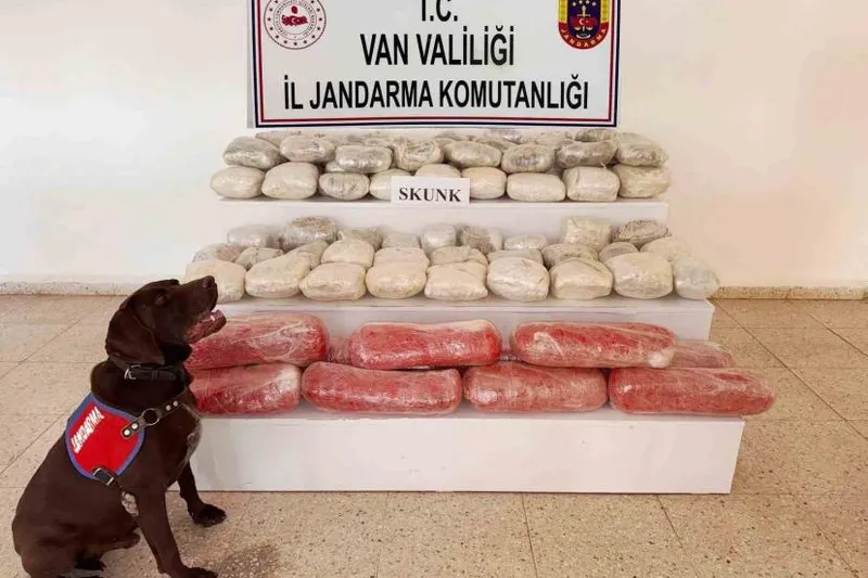 Van’da 61,9 kilogram skunk ele geçirildi