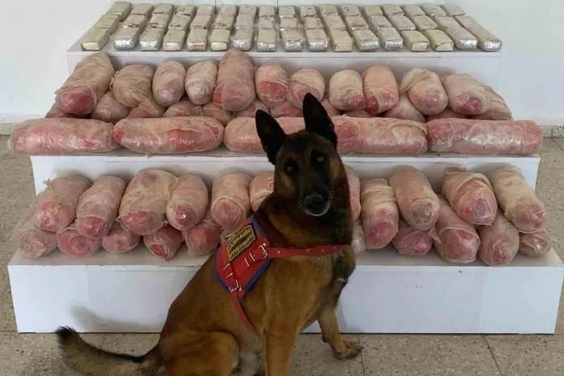 Van’da 67 kilo uyuşturucu ele geçirildi