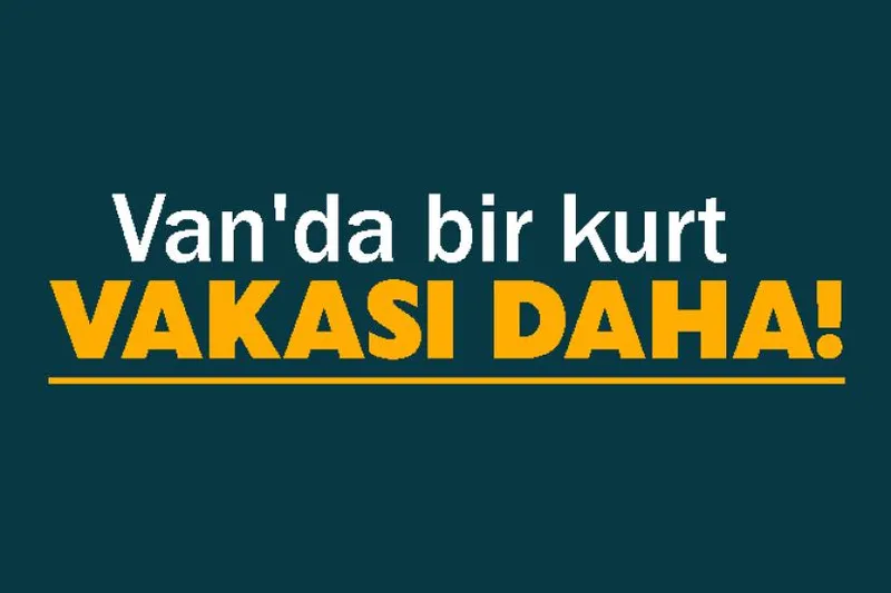 Van'da bir kurt vakası daha!