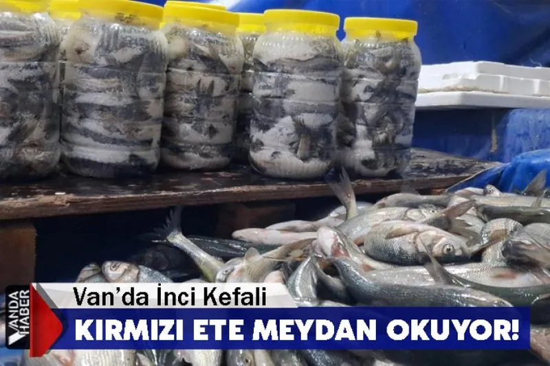 Van’da İnci Kefali Kırmızı Ete Meydan Okuyor!