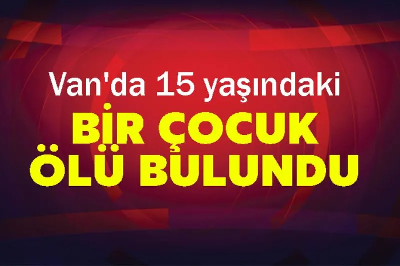 Van'da 15 yaşındaki bir çocuk ölü bulundu