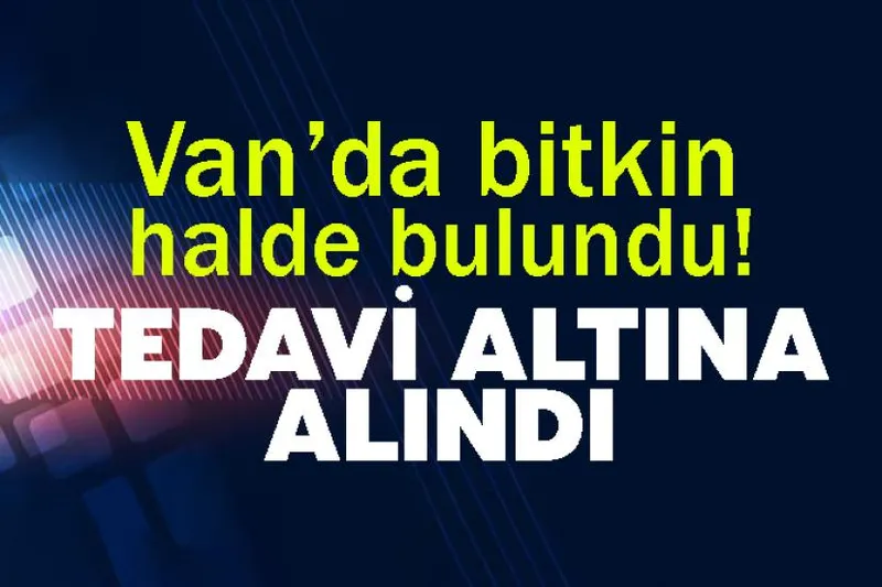 Van’da bitkin halde bulundu! Tedavi altına alındı
