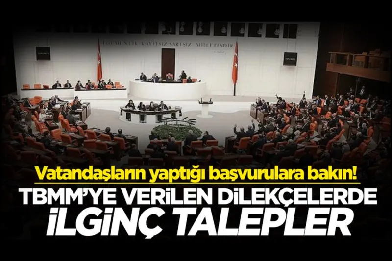 TBMM’ye binlerce ilginç dilekçe!