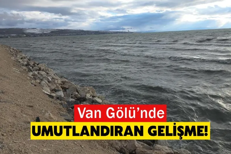 Van Gölü’nde Umutlandıran Gelişme!
