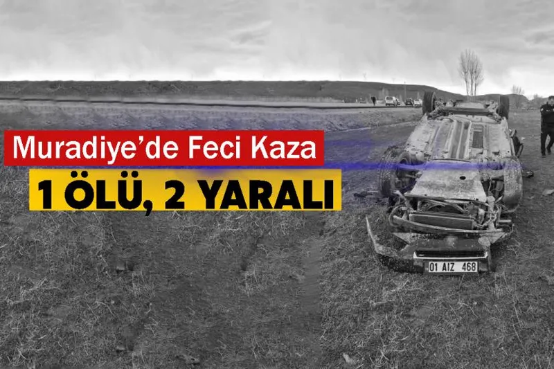 Van’da Muradiye-Çaldıran yolunda kaza: 1 ölü, 2 yaralı