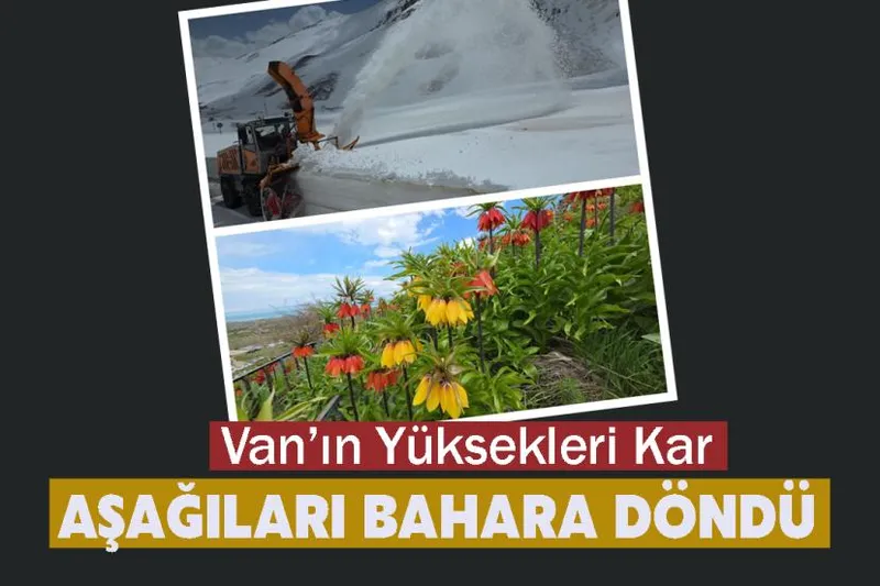 Van’ın Yüksekleri Kar, Aşağıları Bahara döndü
