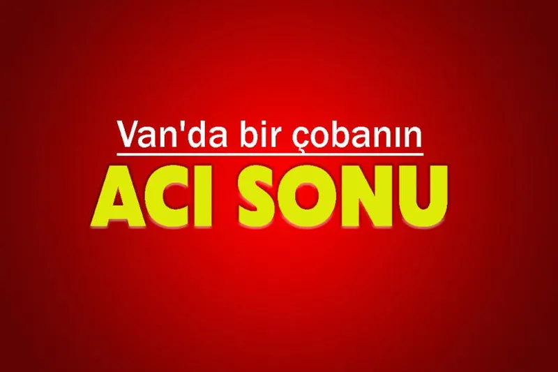 Van'da bir çobanın acı sonu