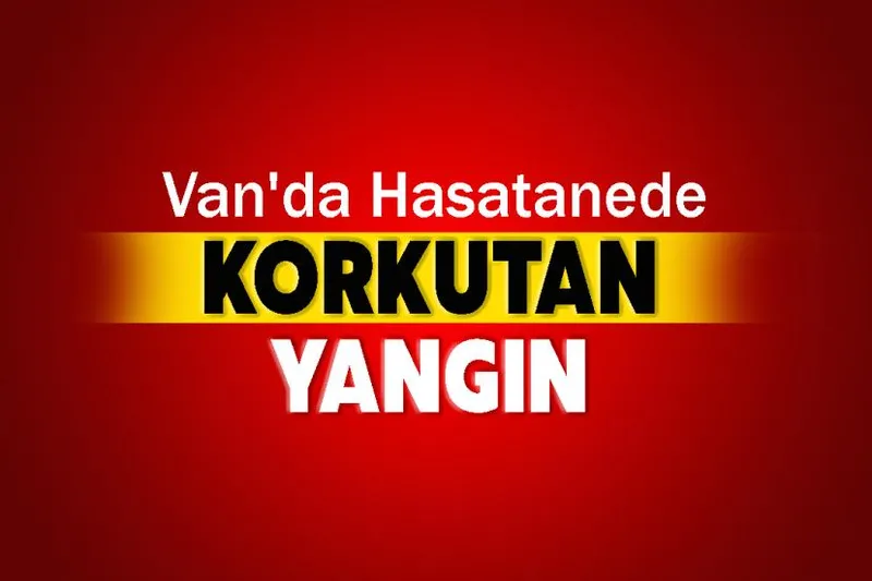 Van'da Hasatanede Korkutan Yangın