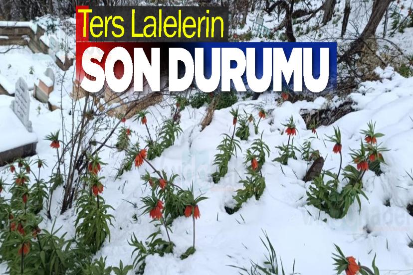 Bahçesaray’da Bahar ve Kış Aynı Anda Yaşanıyor