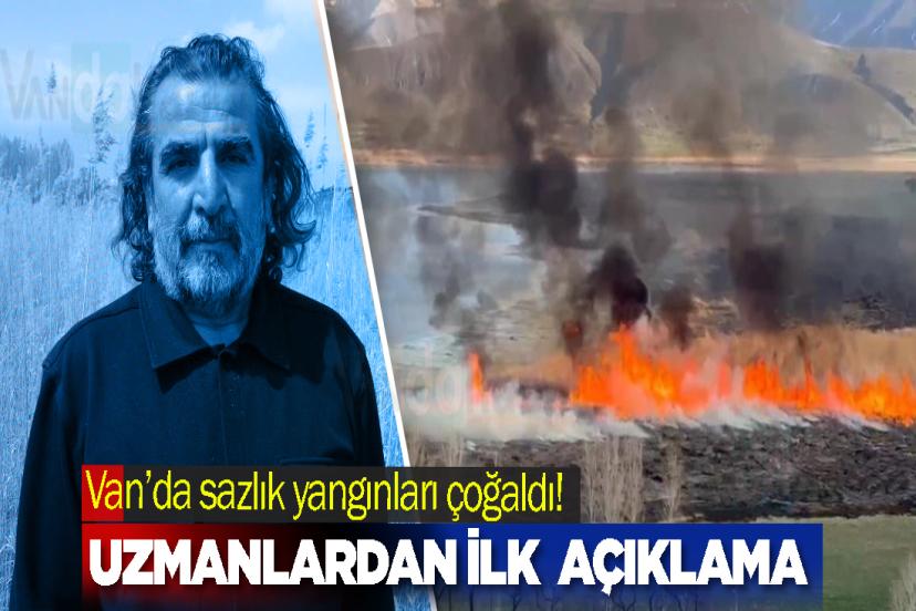 Van’da sazlık yangınları çoğaldı! Uzmanlardan ilk  açıklama