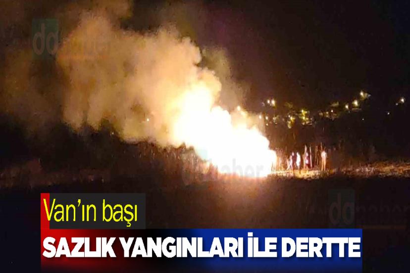 Van’ın başı sazlık yangınları ile dertte