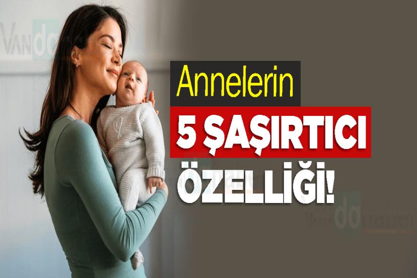 Annelerin 5 Şaşırtıcı Özelliği!