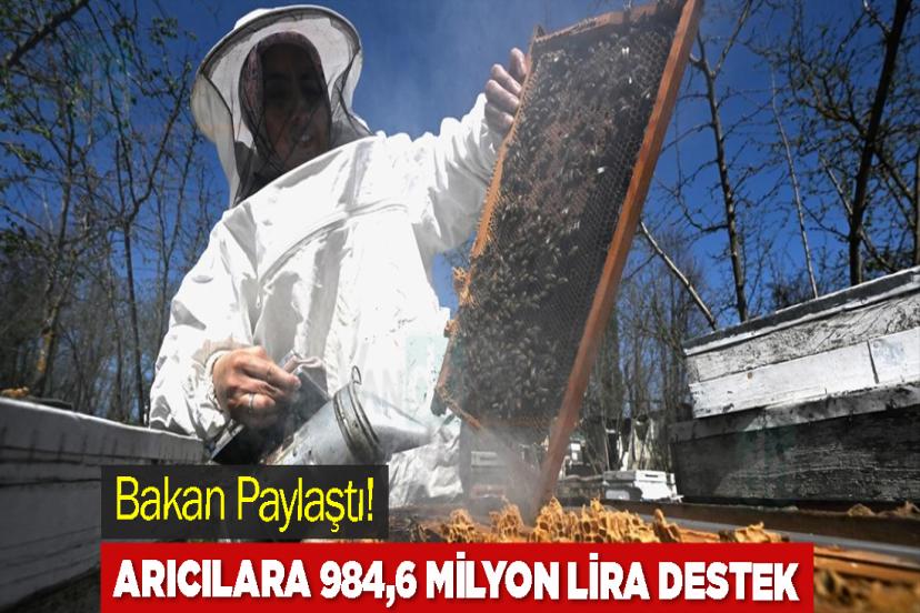 Arıcılara 984,6 milyon lira destek