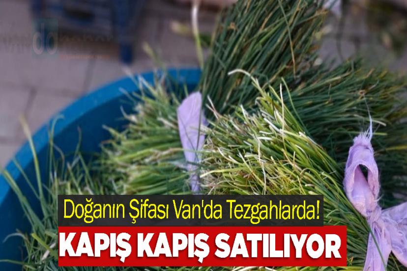 Doğanın Şifası Van'da Tezgahlarda! Kapış kapış satılıyor