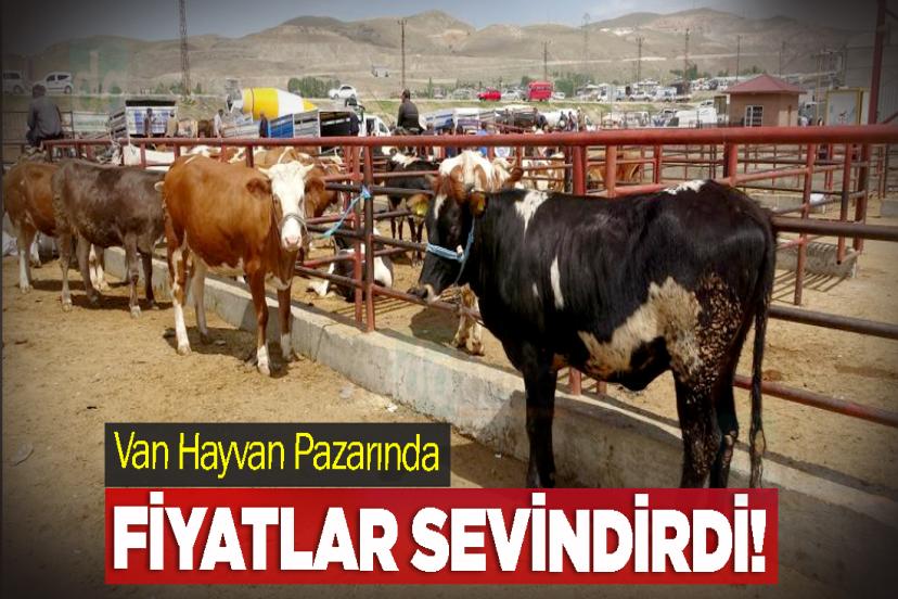 Van Hayvan Pazarında Fiyatlar Sevindirdi!
