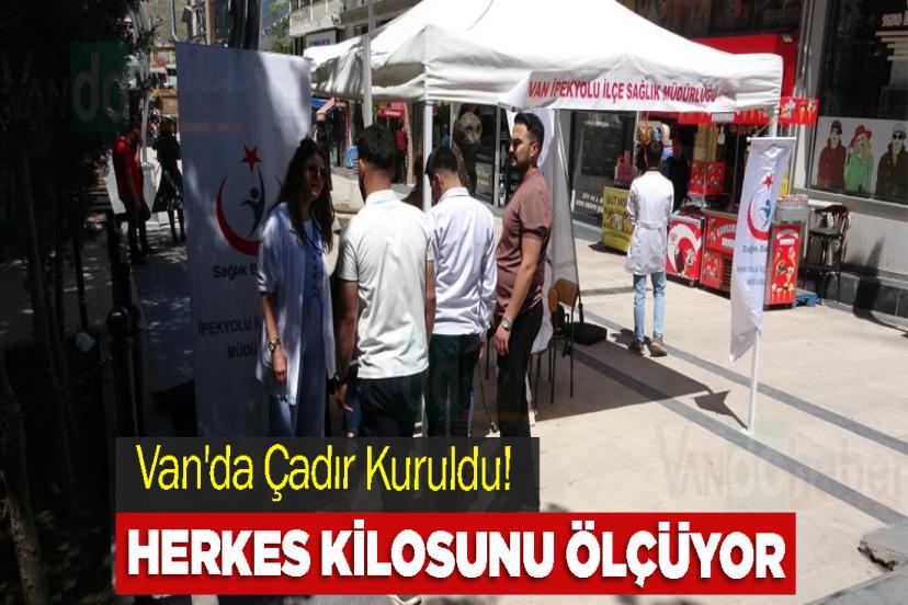 Van'da Çadır Kuruldu! Herkes Kilosunu Ölçüyor