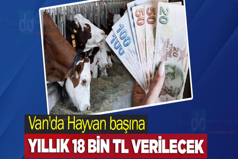 Van'da Hayvan başına yıllık 18 Bin TL verilecek
