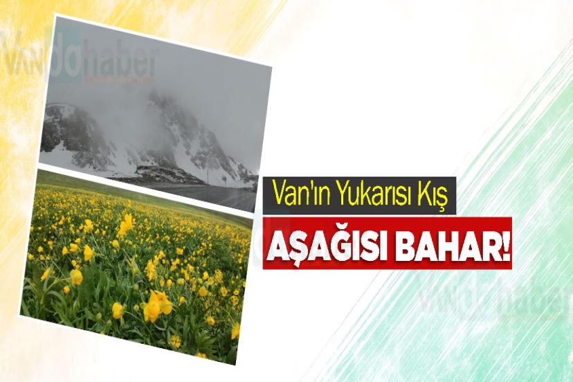 Van'ın Yukarısı Kış, Aşağısı Bahar!