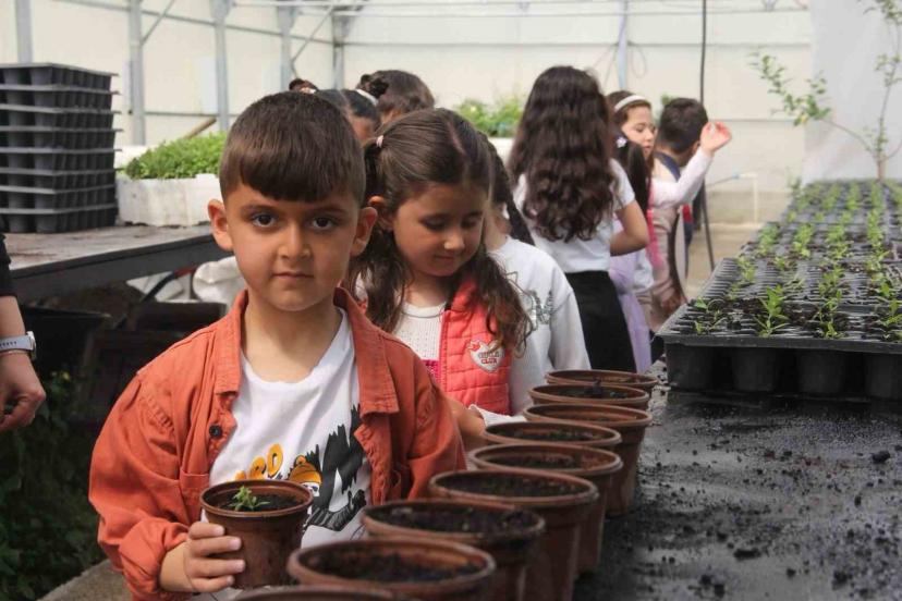 Minik öğrenciler seralarda doğayla buluştu