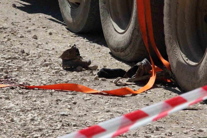 Tonlarca tomruk üzerine devrildi