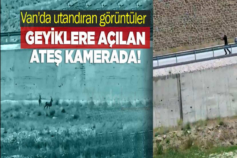 Van'da utandıran görüntüler