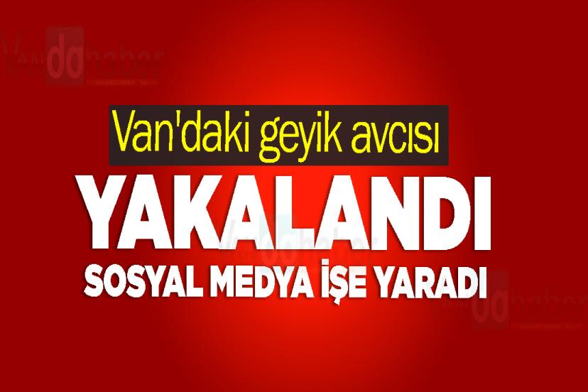 Van'daki geyik avcısı yakalandı