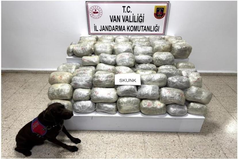 Van’da 70 kilo skunk madde ele geçirildi