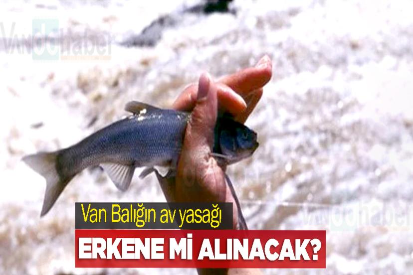 Van Balığın av yasağı erkene mi alınacak?