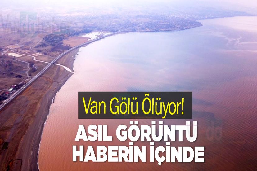 Van Gölü Ölüyor! Uydu görüntüleri artan hastalığı gösterdi