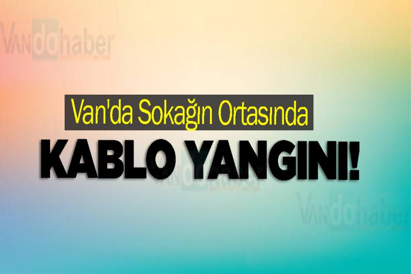 Van'da Sokağın Ortasında Kablo Yangını!