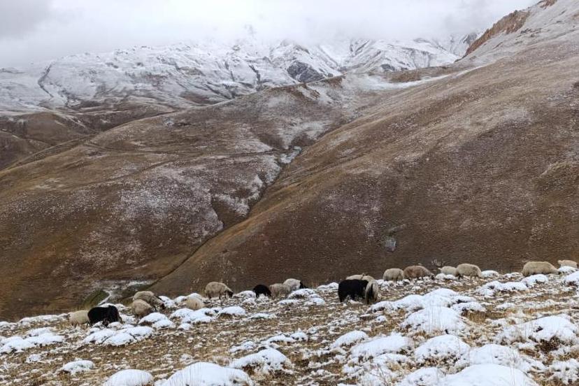 Mevsimin İlk Karı Van Başkale'ye Düştü
