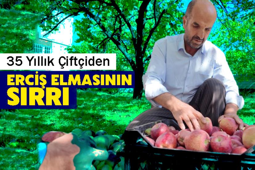 35 Yıllık Çiftçiden Erciş Elmasının Sırrı